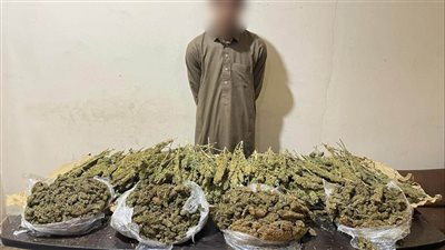 حبس اثنين من العناصر الإجرامية بتهمة ترويج كميات من مخدرى الحشيش والباتجو بالإسماعيلية والجيزة