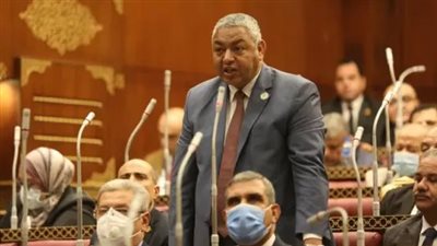  موعد إعلان خلو مقعد النائب محمود بكري