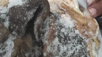 ضبط طن لحوم مذبوحة خارج المجازر ودهون غير صالحة للاستهلاك الآدمى بالمنوفية