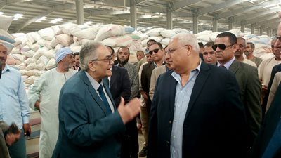 شون البنك الزراعي المصري تستقبل 277 ألف طن خلال الشهر الأول لموسم توريد القمح المحلي 