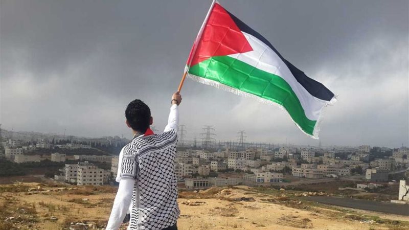 فلسطين، فيتو