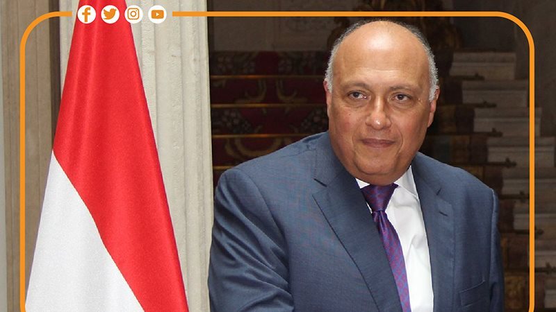 سامح شكري، فيتو