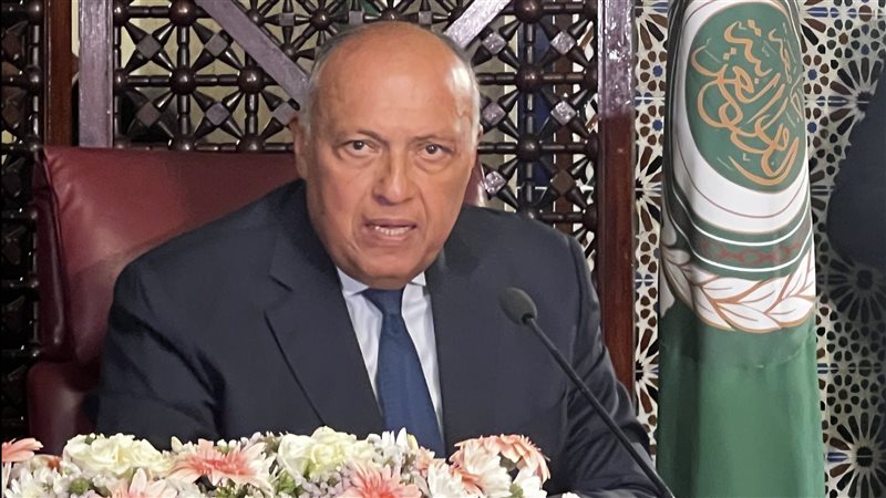 سامح شكرى وزير الخارجية،
