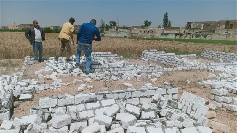 إزالة،فيتو