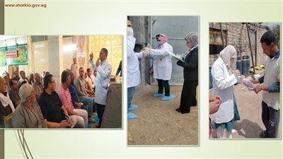 بيطري الشرقية: تحصين 237 ألف طائر ضد انفلونزا الطيور 