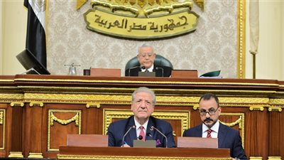 نائب: مخالفات دستورية في حساب ختامي الموازنة، وحذف كلمة بايخة من المضبطة