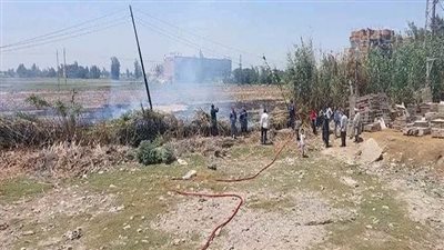 مصرع مسن بسبب حرق قش الأرز في الغربية