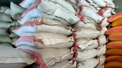 ضبط 67 طن دقيق  و1117 بطاقة تموينية بحوزة مخابز بالعياط وكرداسة والحوامدية 