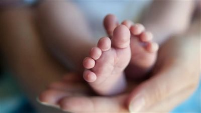 قانون الأحوال المدنية، تعرف على شروط التبليغ عن المواليد وفقا للقانون