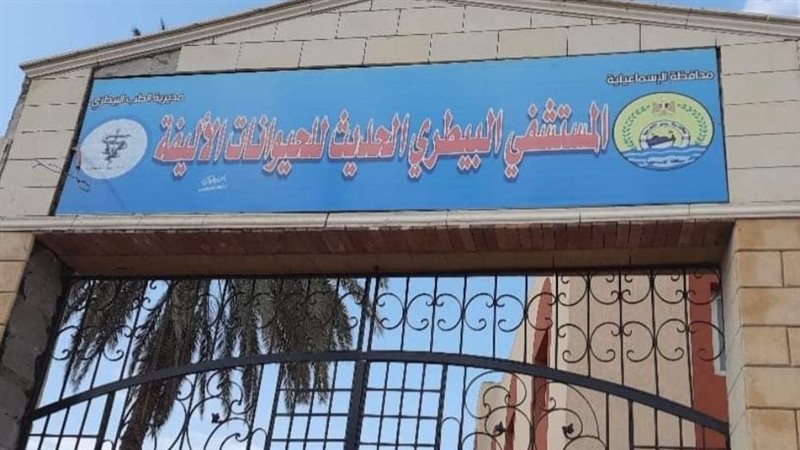 المستشفى البيطري