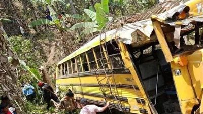 النحل الأفريقي القاتل يهاجم ركاب حافلة بعد نجاتهم من حادث (صور) 