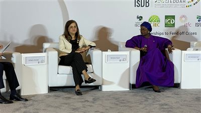 وزيرة التخطيط تشارك في الاجتماع السنوي لمتابعة أهداف التنمية المستدامة