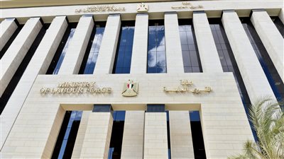 سر تغيير مسمى وزارة القوى العاملة لـ 