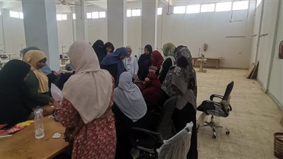 القوى العاملة تنظم برنامجا لتدريب الفتيات في الأقصر