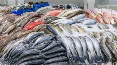 أسعار الأسماك، البوري يسجل 40 جنيهًا بالأسواق اليوم الجمعة 2-6-2023