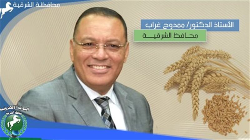قمح الشرقية:367 الف