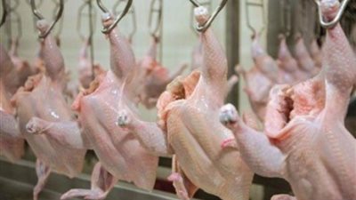 أخبار الاقتصاد اليوم: عروض وتخفيضات السلاسل التجارية على أسعار الفراخ في العيد، وارتفاع سعر اليورو في ختام تعاملات اليوم الإثنين