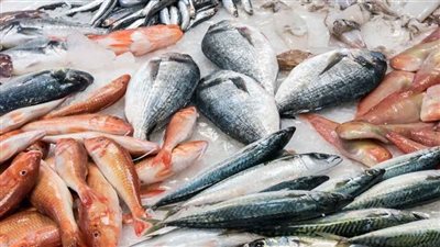أسعار الأسماك اليوم الأربعاء 17-5-2023 في الدقهلية