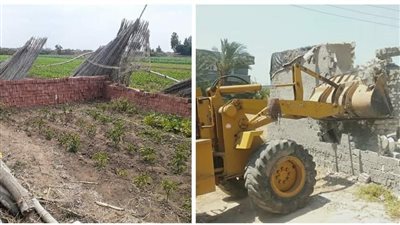 إزالة 13 حالة تعد بنطاق 5 مراكز بالبحيرة (صور)