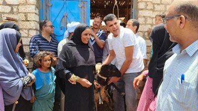 الزراعة توزع أغنام مجانا على 20 سيدة بأسوان 