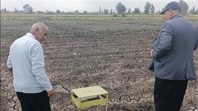  الزراعة: لم نرصد آفات بالمحاصيل الشتوية 