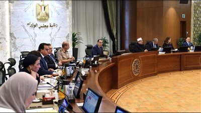 أبرز قرارات مجلس الوزراء خلال أسبوع (إنفوجراف) 