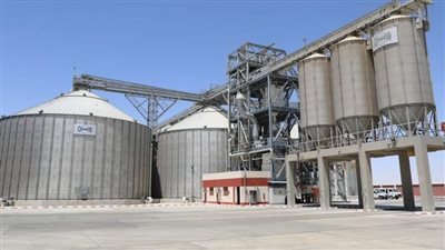 توريد 200 ألف طن قمح للشون والصوامع بالوادي الجديد 