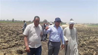 رئيس مركز الطود يشهد احتفالية حصاد القمح بالأقصر 