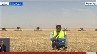 السيسي يشهد افتتاح موسم حصاد القمح عبر الفيديو كونفرانس 