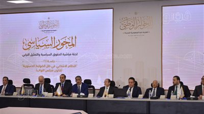 النظام الانتخابى، الخولى: ليس لدينا أى غضاضة من تطبيق أى نظام انتخابى