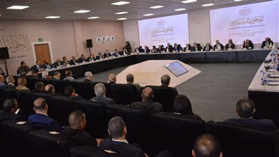 رئيس حقوق الإنسان بالبرلمان: ضمانات دستورية للمساواة بين الجنسين من العنف القائم على النوع الاجتماعي