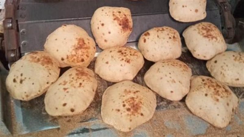 تحرير 197 محضرا تموينيا،