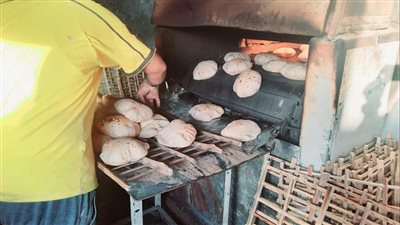 ضبط 33 كيلو دواجن فاسدة في الإسماعيلية 