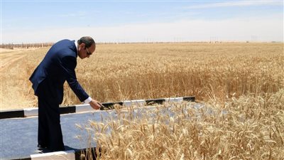 15 صورة ترصد افتتاح السيسي موسم حصاد القمح بشرق العوينات 