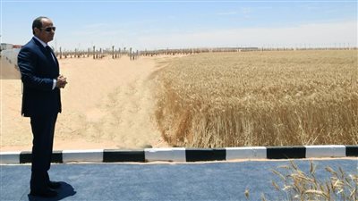 كل ما تريد معرفته عن جهود السيسي لتحقيق النهضة الزراعية وسد الفجوة الغذائية