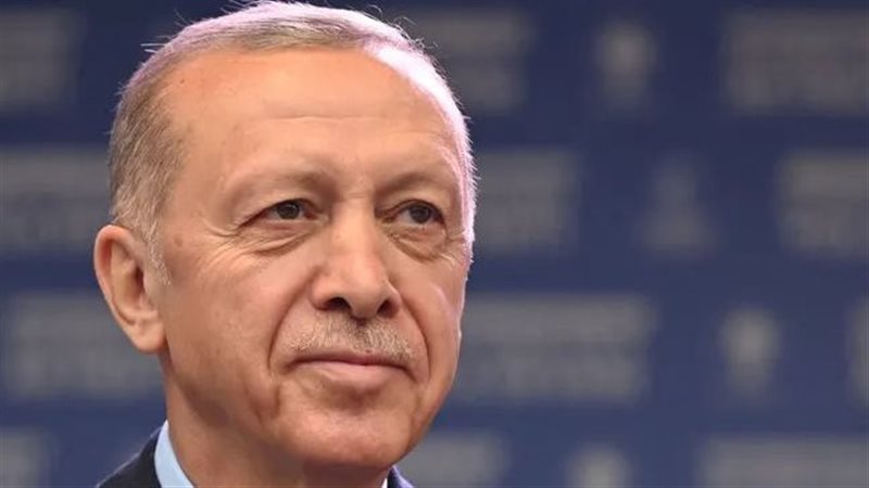 أردوغان، فيتو