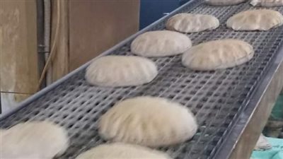 تحرير 17 محضرا في حملات على المخابز البلدية بالبحيرة 