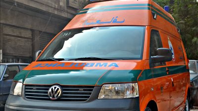 مصرع طفلين غرقًا في ترعة بالدقهلية