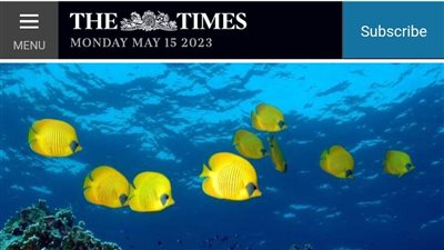 صحيفة The Times تبرز المقومات السياحية والأثرية الفريدة في مصر