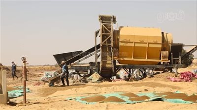 البيئة: مشاريع واعدة لإعادة استخدام قش الأرز وقشر الموز والرمان