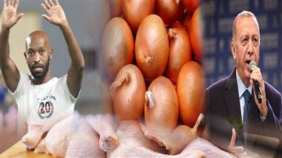 أخبار مصر: خبر صادم عن الفراخ البرازيلية، سر ارتفاع أسعار البصل، نهاية مأساوية لفتاة بسبب أردوغان، موقف شيكابالا من الاعتزال