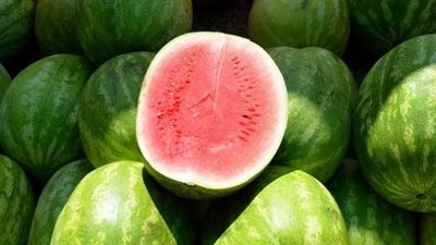 الحكومة تنفي انتشار بطيخ مسرطن بالأسواق داخل المحافظات 