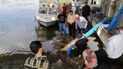 محافظ الدقهلية يشهد استلام 500 ألف ذريعة سمكية من أسماك البلطي