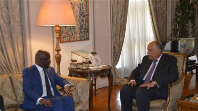 وزير الخارجية يؤكد حرص مصر على تعزيز التعاون الاقتصادي مع موريتانيا (صور)