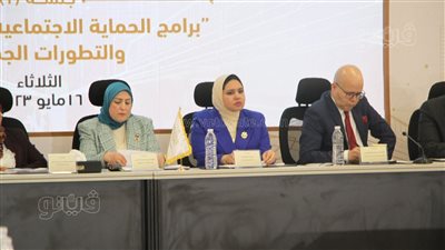 النائبة راوية مختار: إنشاء صندوق مستقل يستهدف عمل المعاشات والعمالة غير المنتظمة