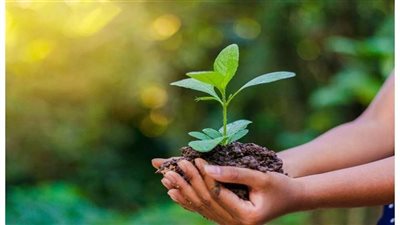 خطوات دعم الدولة المصرية لمبادرة الوطنية للمشروعات الخضراء الذكية