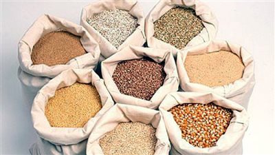 شعبة الثروة الداجنة تتوقع انخفاض أسعار الدواجن بعد تراجع الأعلاف