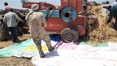 محافظ قنا يتابع استلام محصول القمح بصومعة الترامسة