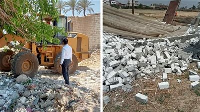 إزالة 473 حالة تعد على الأرض الزراعية وأملاك الدولة بالشرقية 