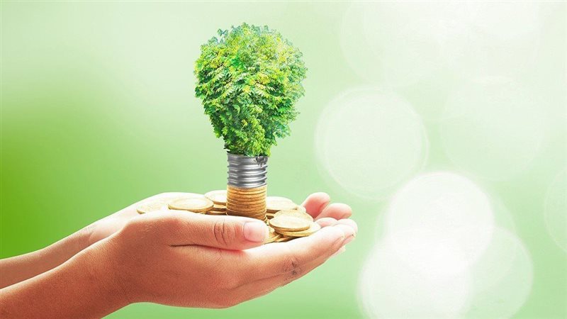 المشروعات الخضراء،فيتو